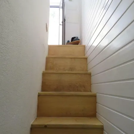 Casa Do Leao 1 *